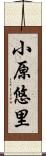 小原悠里 Scroll