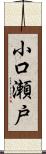 小口瀬戸 Scroll
