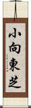 小向東芝 Scroll