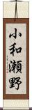 小和瀬野 Scroll