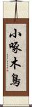 小啄木鳥 Scroll