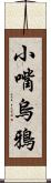 小嘴烏鴉 Scroll