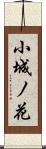 小城ノ花 Scroll