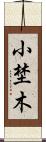 小埜木 Scroll