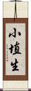 小埴生 Scroll