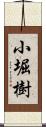 小堀樹 Scroll