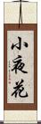 小夜花 Scroll