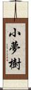 小夢樹 Scroll