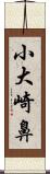 小大崎鼻 Scroll