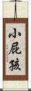 小屁孩 Scroll