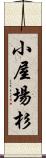 小屋場杉 Scroll