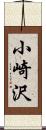 小崎沢 Scroll