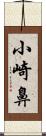 小崎鼻 Scroll