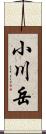 小川岳 Scroll