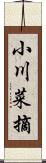 小川菜摘 Scroll