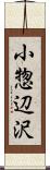 小惣辺沢 Scroll