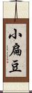 小扁豆 Scroll