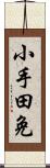 小手田免 Scroll