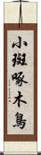 小斑啄木鳥 Scroll