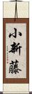 小新藤 Scroll