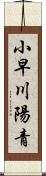 小早川陽青 Scroll