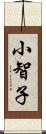 小智子 Scroll