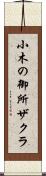 小木の御所ザクラ Scroll