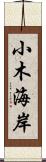 小木海岸 Scroll