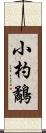 小杓鷸 Scroll