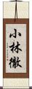 小林徹 Scroll