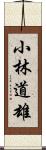 小林道雄 Scroll