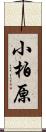 小柏原 Scroll