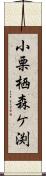 小栗栖森ケ渕 Scroll