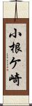 小根ケ崎 Scroll