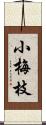 小梅枝 Scroll