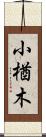 小楢木 Scroll