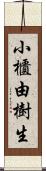 小櫃由樹生 Scroll