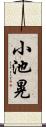 小池晃 Scroll