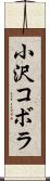 小沢コボラ Scroll