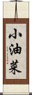 小油菜 Scroll