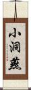 小洞燕 Scroll