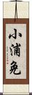 小浦免 Scroll