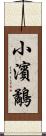 小濱鷸 Scroll