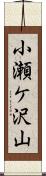 小瀬ケ沢山 Scroll