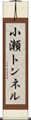 小瀬トンネル Scroll