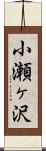 小瀬ヶ沢 Scroll