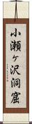 小瀬ヶ沢洞窟 Scroll