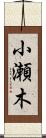 小瀬木 Scroll