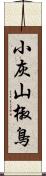 小灰山椒鳥 Scroll