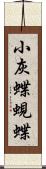 小灰蝶;蜆蝶 Scroll